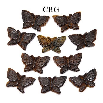QTY 1 - Tiger's Eye Butterfly / 2" avg. - Crystal River Gems