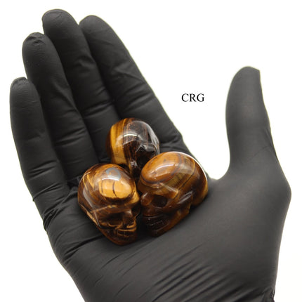 QTY 1 - Tiger's Eye Gemstone Skull / 1.5" AVG - Crystal River Gems