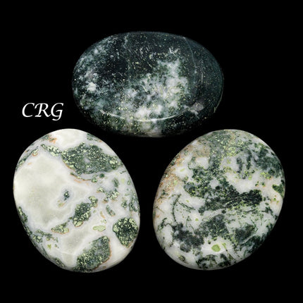 QTY 1 - Tree Agate Palm Stone / 2" Avg - Crystal River Gems