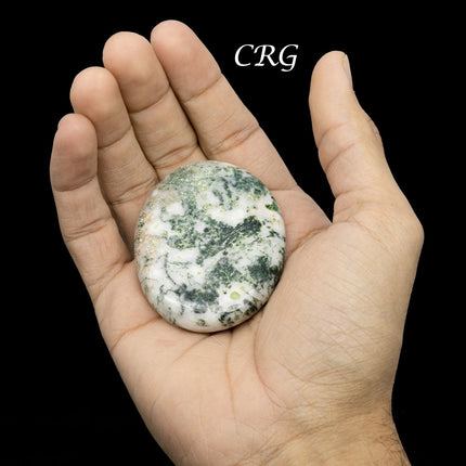 QTY 1 - Tree Agate Palm Stone / 2" Avg - Crystal River Gems