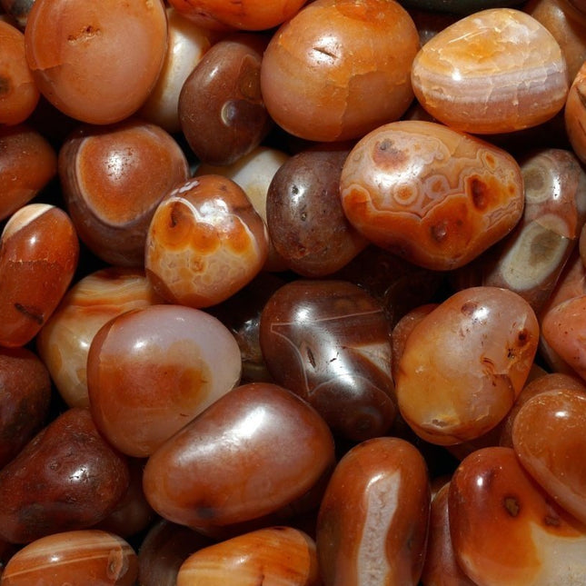 Red Carnelian Agate Tumbled Pieces (Size 20 to 40 mm) Crystals Minerals Gemstones