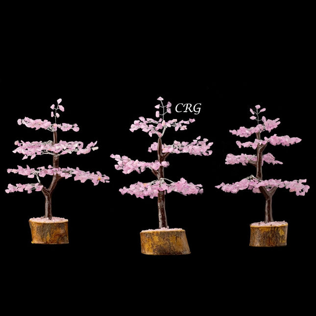 Rose Quartz 300 Chip Tree with Wood Base and Silver Wire (1 Piece) Size 9 Inches Crystal Gemstone Tree - Crystal River Gems