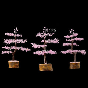 Rose Quartz 300 Chip Tree with Wood Base and Silver Wire (1 Piece) Size 9 Inches Crystal Gemstone Tree