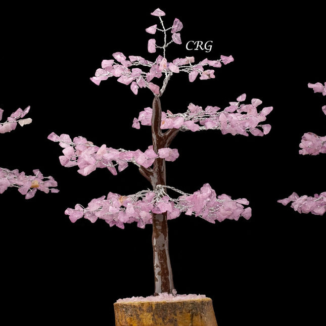 Rose Quartz 300 Chip Tree with Wood Base and Silver Wire (1 Piece) Size 9 Inches Crystal Gemstone Tree - Crystal River Gems
