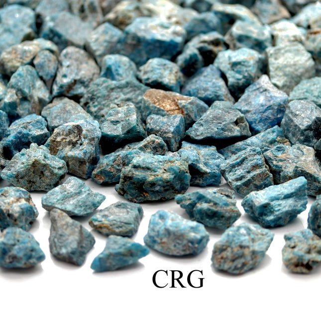 Rough Blue Apatite / 1-2" AVG - 1 KILO LOT - Crystal River Gems