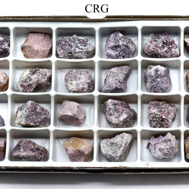 Rough Lepidolite Boxed Flat (24 Pieces) (1 to 1.5 Inches) Bulk Wholesale Crystals Minerals Gemstones - Crystal River Gems