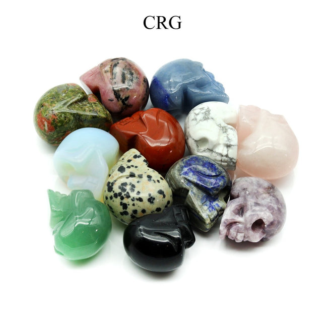 SET OF 12 - Mini Gemstone Skulls (No Drilled Hole) / 18-25mm AVG - Crystal River Gems
