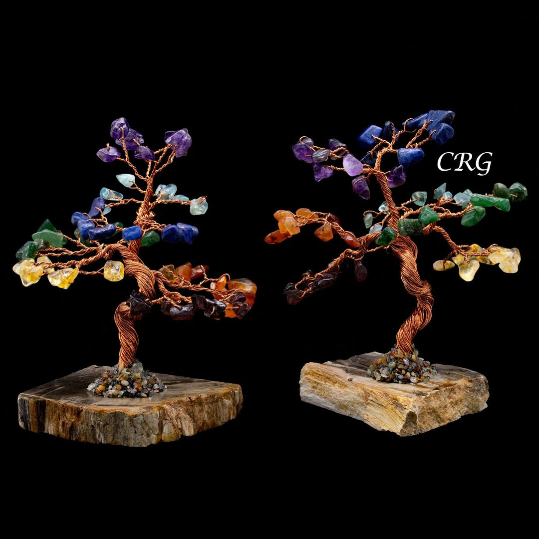 petrified bonsai tree SET OF 2 - 7 Stone Gemstone Tree w/ Petrified wood base