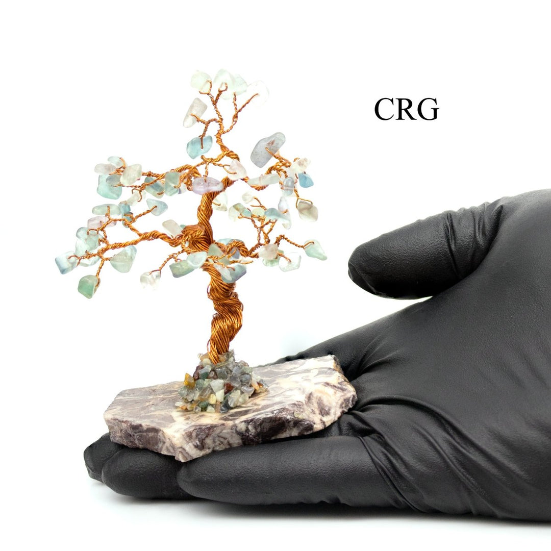 SET OF 2 - Fluorite Gemstone Tree with Petrified Wood Base / 3-5" AVG