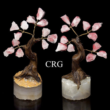 SET OF 2 - Rough Rose Quartz Tree with Round Polished Base / 3.5-4.0" AVG