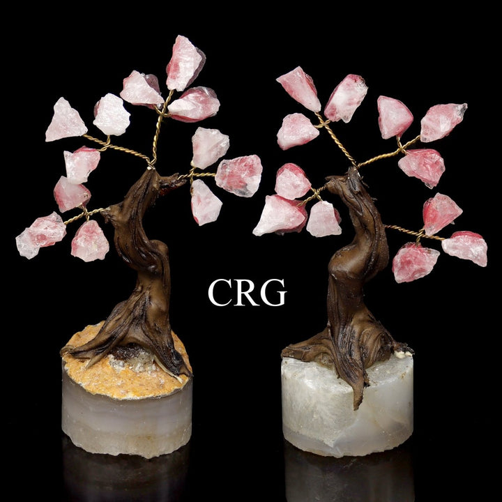 SET OF 2 - Rough Rose Quartz Tree with Round Polished Base / 3.5 - 4.0" AVGCrystal River Gems