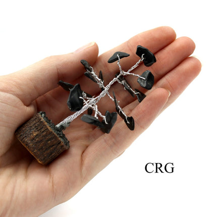 SET OF 4 - Black Tourmaline Gemstone Chip Tree / 1-2" AVG - Crystal River Gems