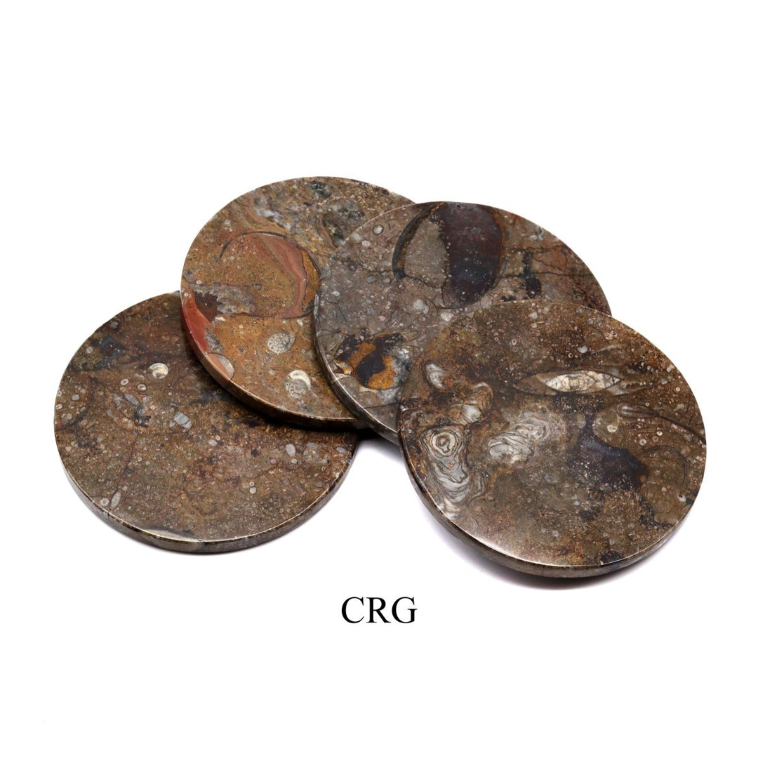 SET OF 4 - Brown Orthoceras and Ammonite Fossil Stone Coasters / 4" AVG