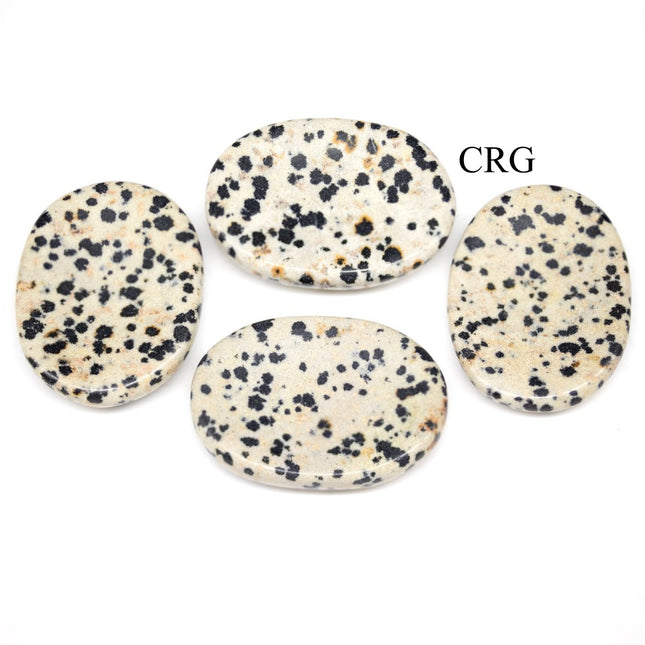 SET OF 4 - Dalmatian Jasper Worry Stone with Thumb Indent / 1" AVG - Crystal River Gems