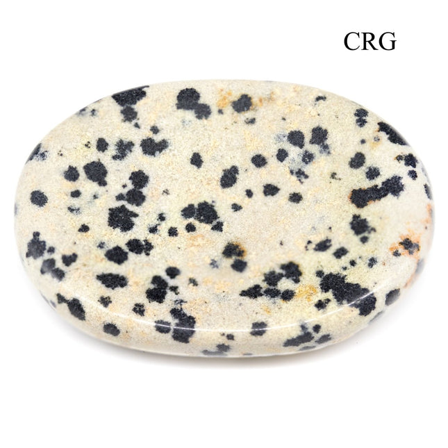 SET OF 4 - Dalmatian Jasper Worry Stone with Thumb Indent / 1" AVG - Crystal River Gems