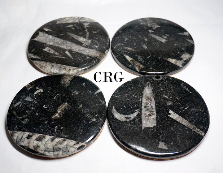 SET OF 4 - Orthoceras Fossil Coasters / 4" AVG