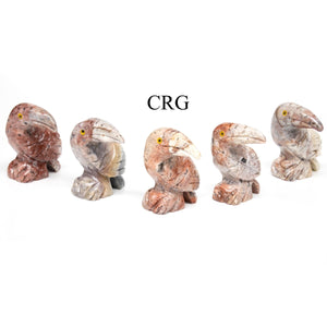 Soapstone Toucans (10 Pieces) Size 1.5 Inches Crystal Gemstone Animal Carvings