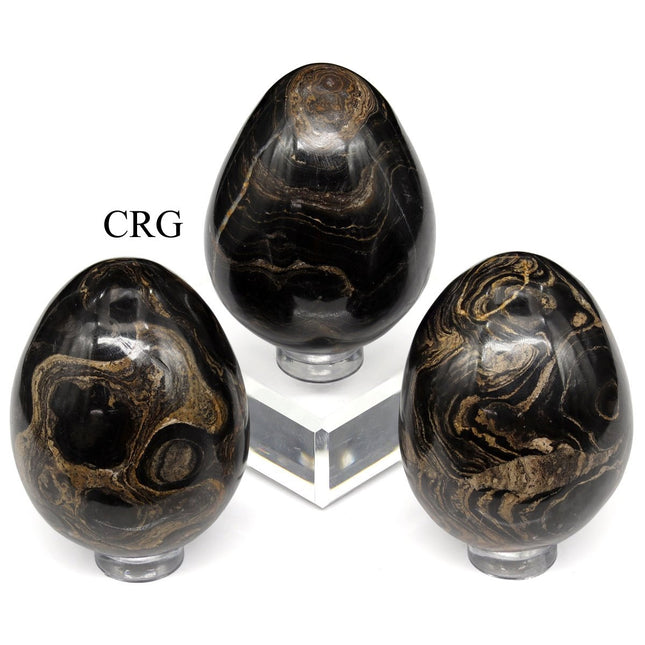 Stromatolite Egg (1 Piece) Size 45 to 55 mm Crystal Gemstone Shape