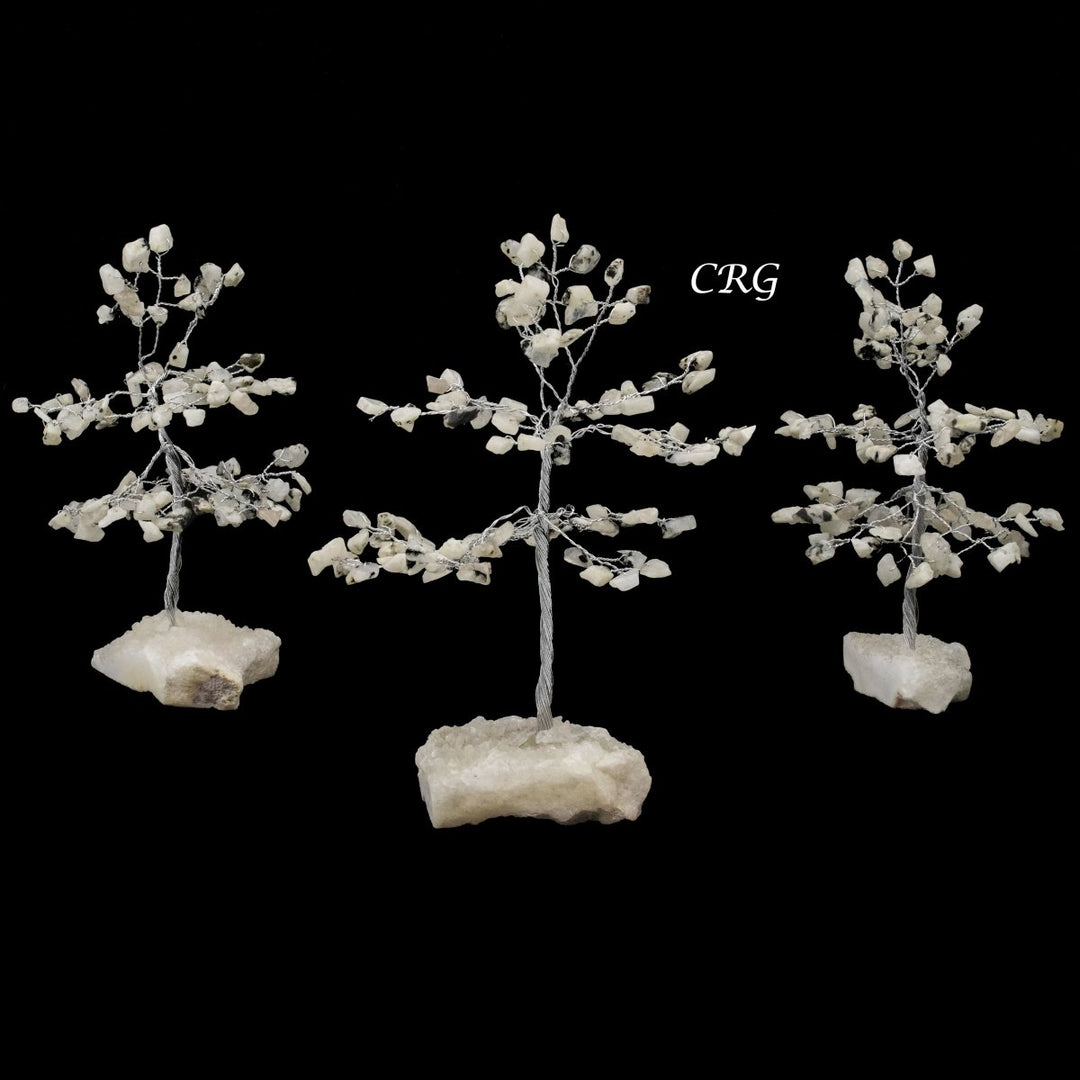 White Rainbow Moonstone 100 Chip Tree with Cut Cluster Base (1 Piece) Size 6 Inches Silver Wire Gemstone TreeCrystal River Gems