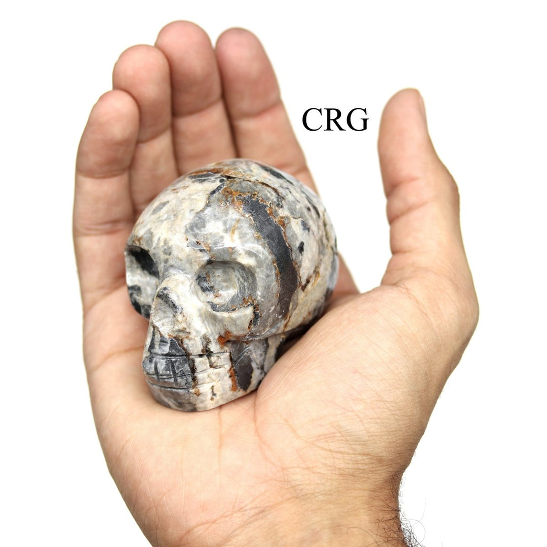 Zebra Jasper Skull (1 Piece) Size 45 to 55 mm Polished Crystal Gemstone Carving