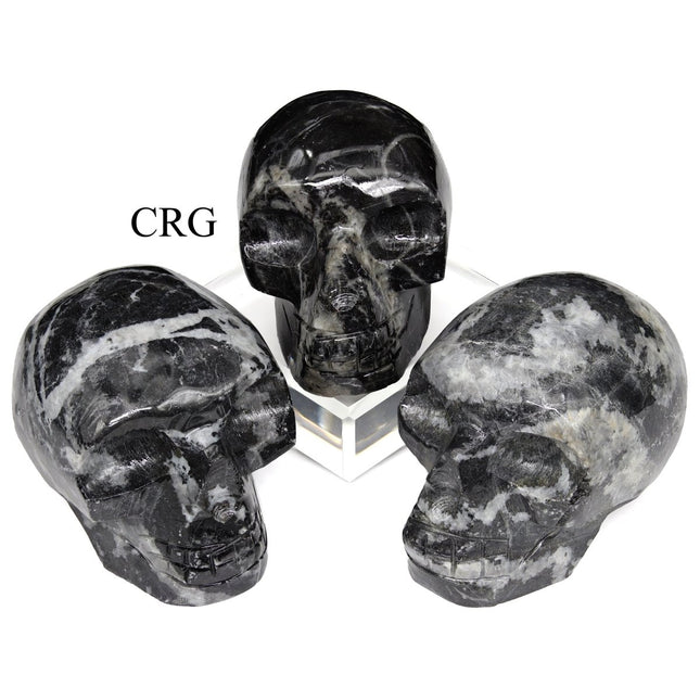 Zebra Jasper Skull (1 Piece) Size 45 to 55 mm Polished Crystal Gemstone Carving - Crystal River Gems